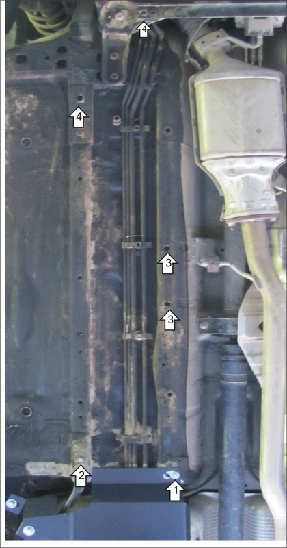 Photo 4