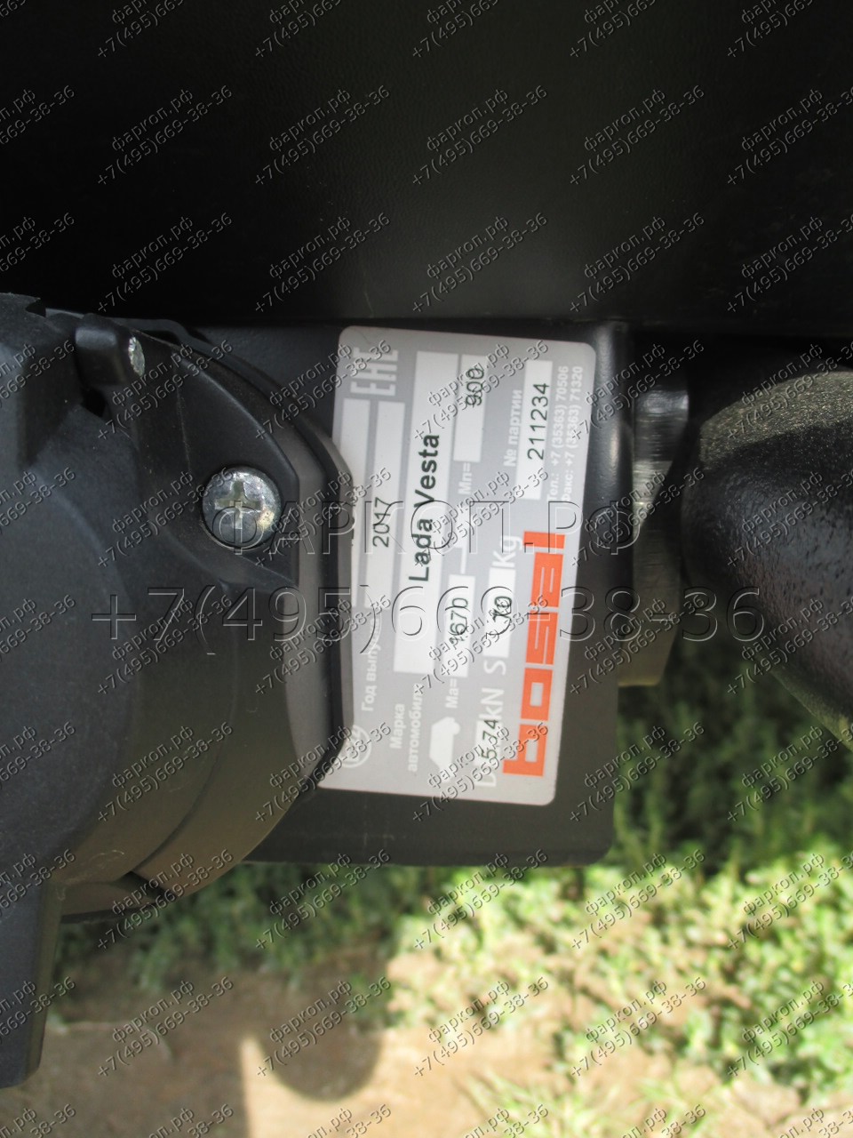 Photo 11