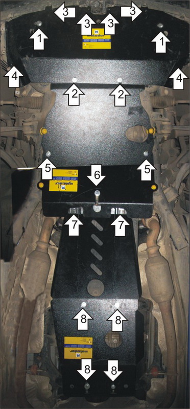 Photo 5