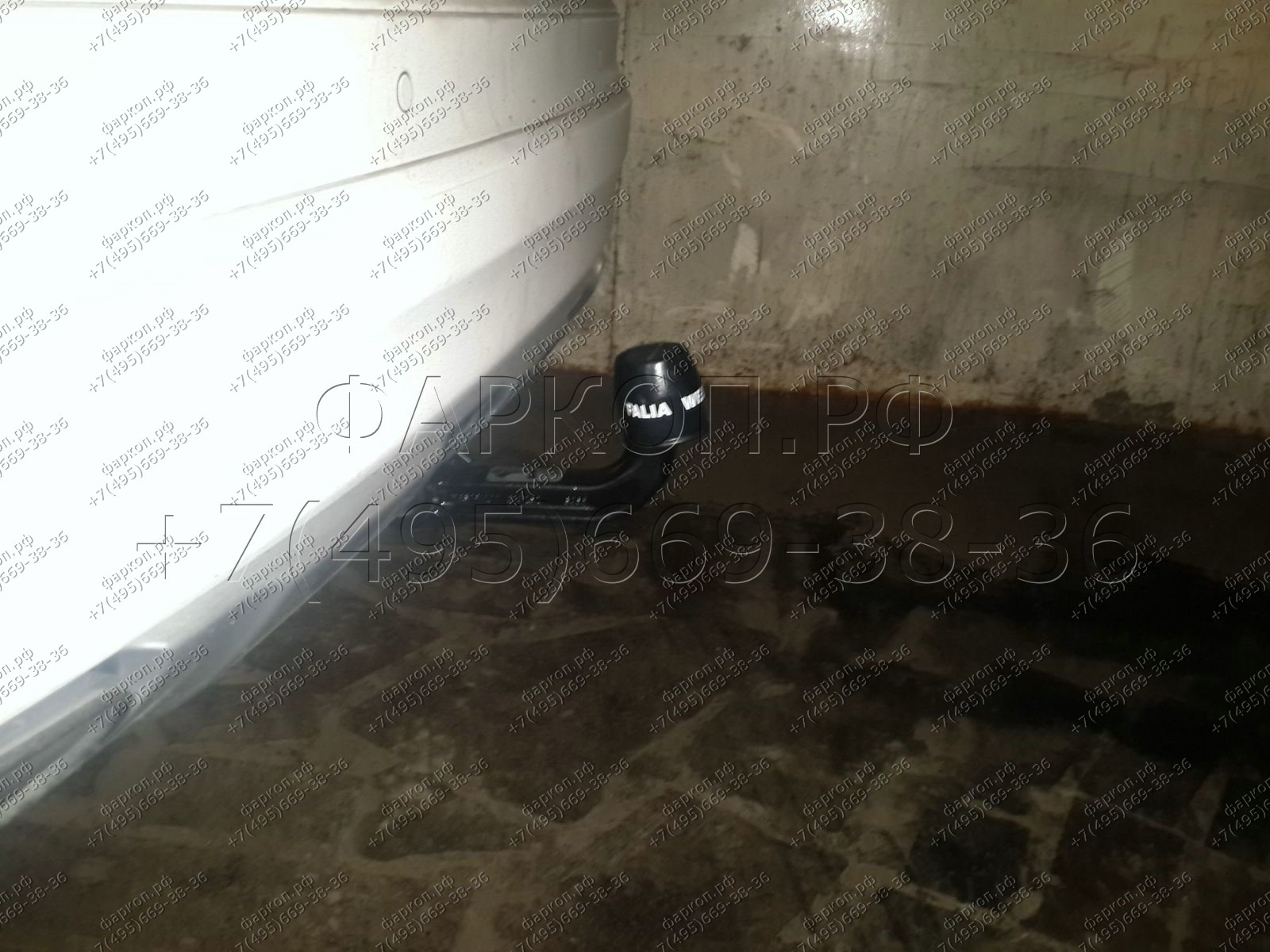 Photo 8