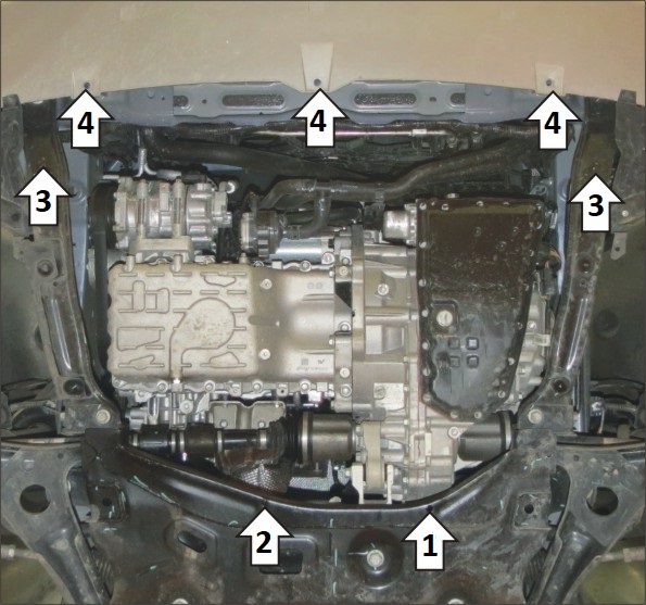 Photo 3