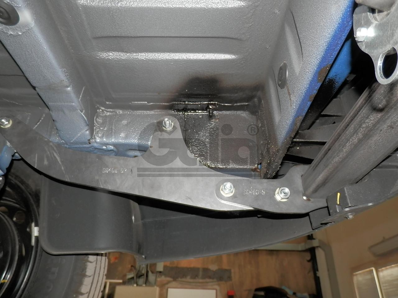 Photo 11