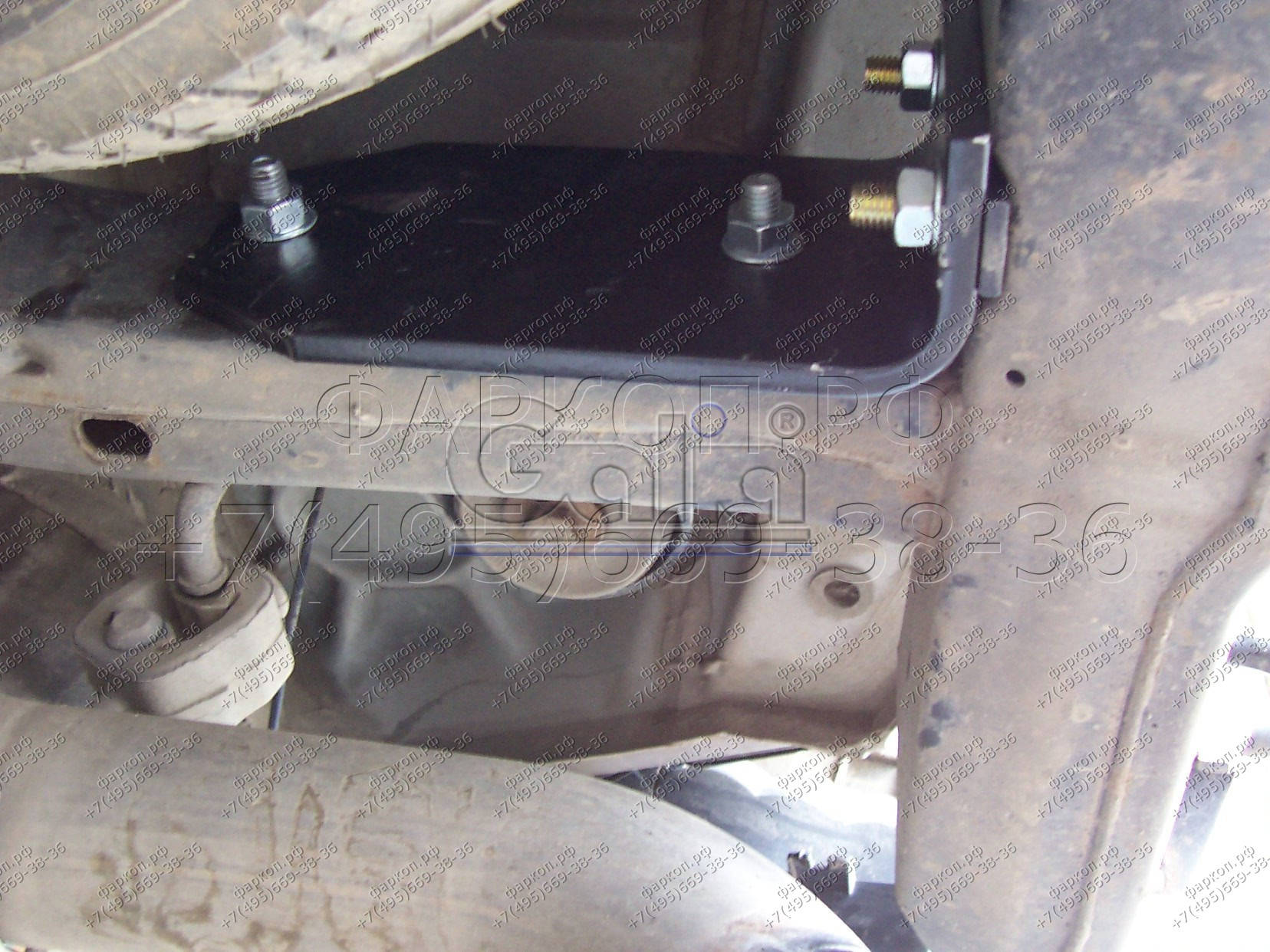 Photo 6